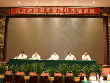技術(shù)推廣服務(wù)中心 連接創(chuàng)新與應(yīng)用的橋梁